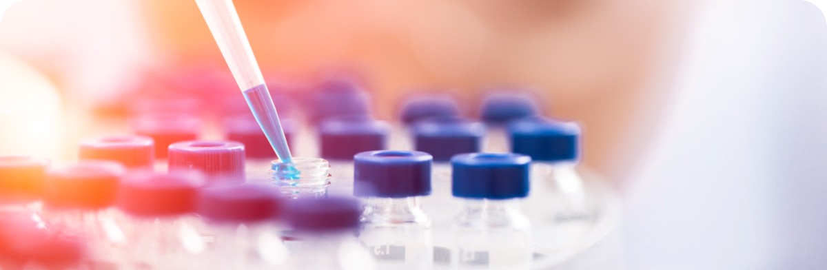 QS_inv_soporte_metodologico_web