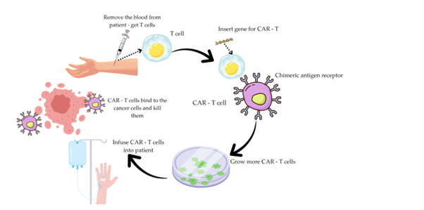 Inmunoterapia y tumores malignos sólidos