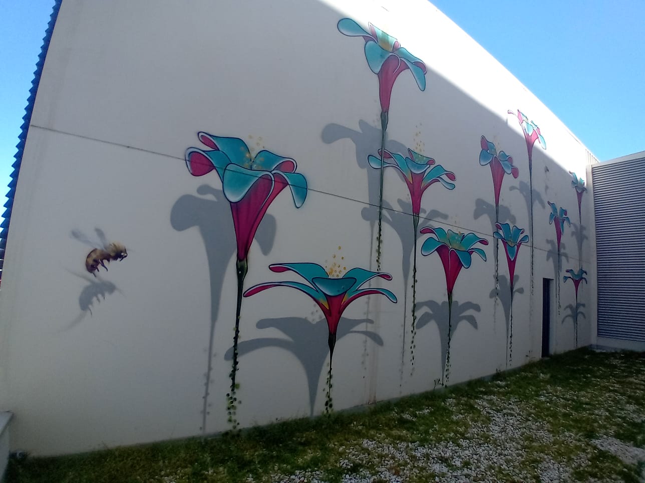 artista urbano internacional Werens decora las paredes internas del Hospital Quironsalud del Valles