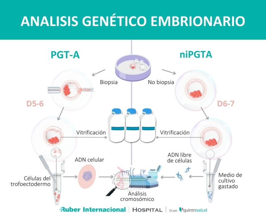 Estudio genético de los embriones en Fecundación in vitro