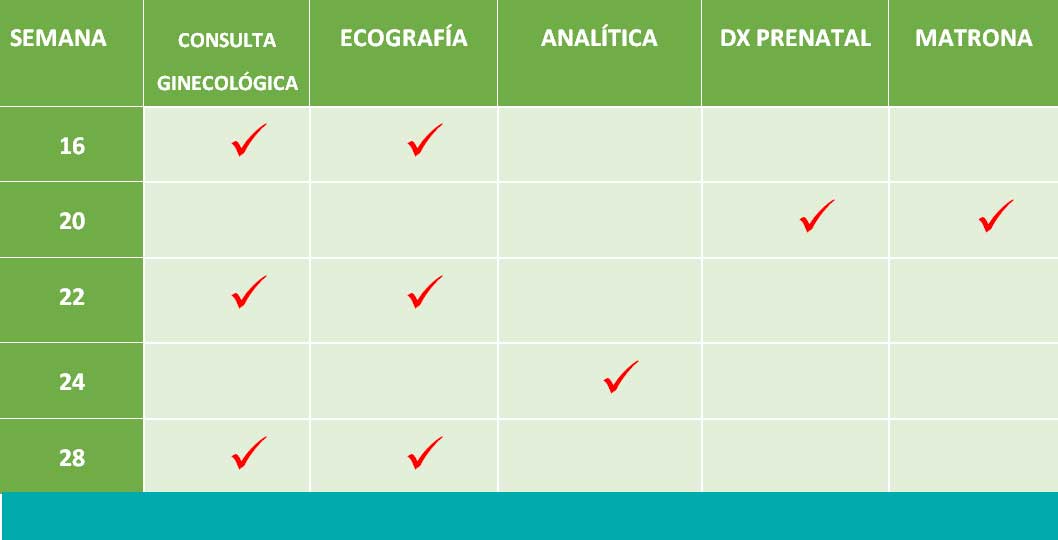 Resultados análisis sangre primer trimestre online embarazo