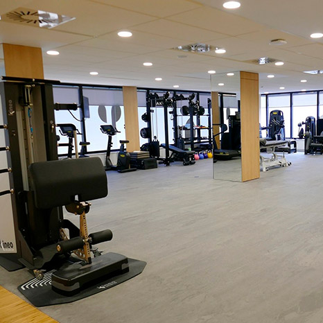 Fisioterapia y Rehabilitación